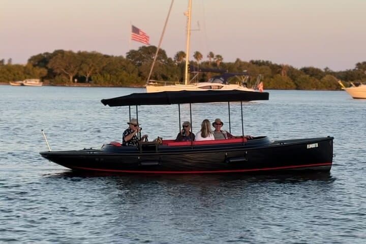 Silent-Electric Dolphin Cruise on the Indian River Lagoon — Vero Beach Eco Tour photo 5
