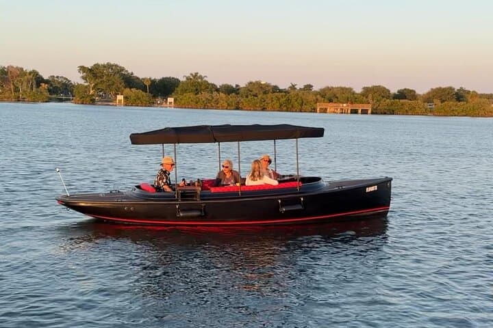 Silent-Electric Dolphin Cruise on the Indian River Lagoon — Vero Beach Eco Tour