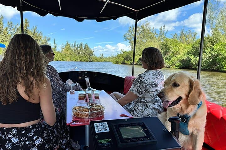Silent-Electric Dolphin Cruise on the Indian River Lagoon — Vero Beach Eco Tour photo 2