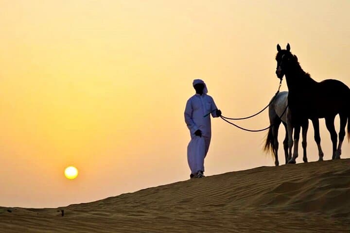 Arabian Horseback Ride on Hurghada's Desert & Red Sea Shoreline photo 4