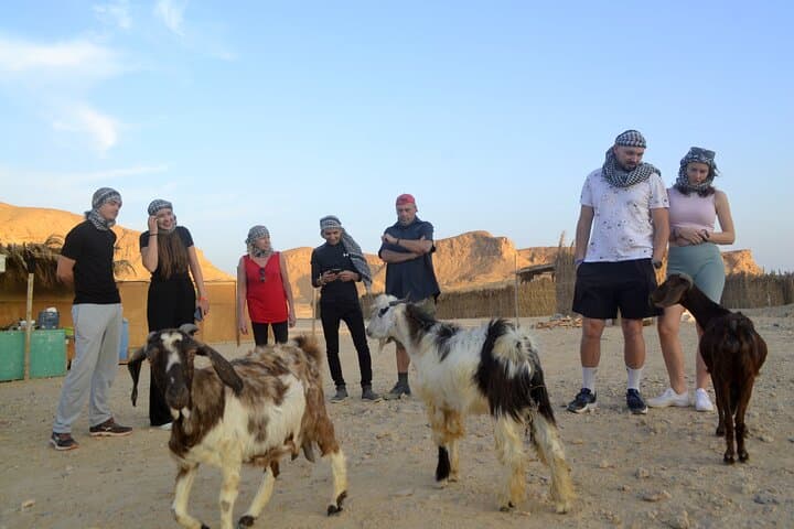 Desert Jeep Safari with Camel Ride and Bedouin Dinner in Marsa Alam photo 2