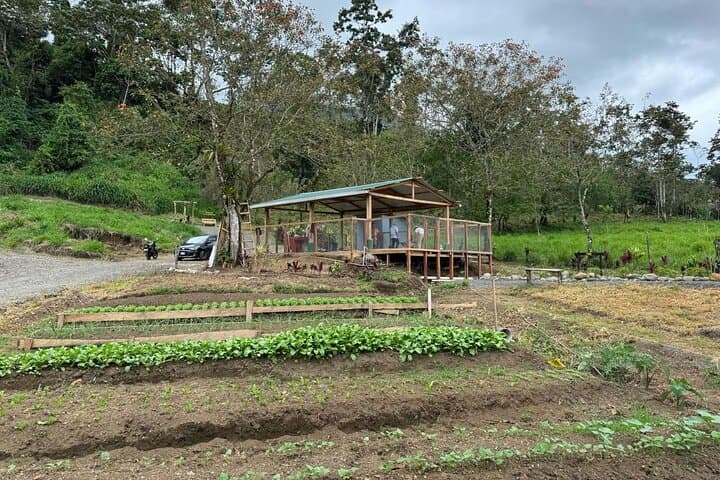 Farm-to-Table Cooking Class at Arenal Volcano — La Fortuna Experience photo 2