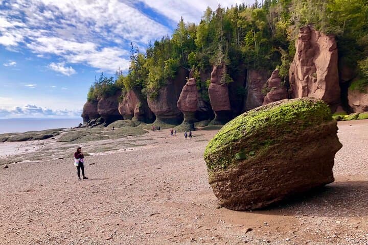 Hopewell Rocks & Fundy National Park Shore Excursion from Saint John photo 2