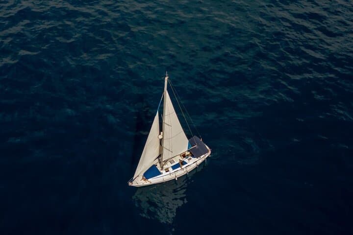 Private 3-Hour Sailing from Puerto Colón — Dolphin & Whale Watching in Tenerife photo 3