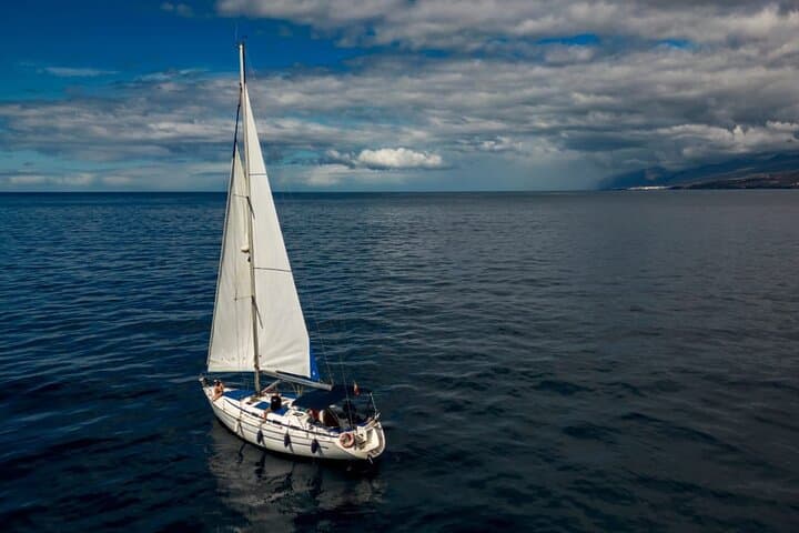 Private 3-Hour Sailing from Puerto Colón — Dolphin & Whale Watching in Tenerife photo 4