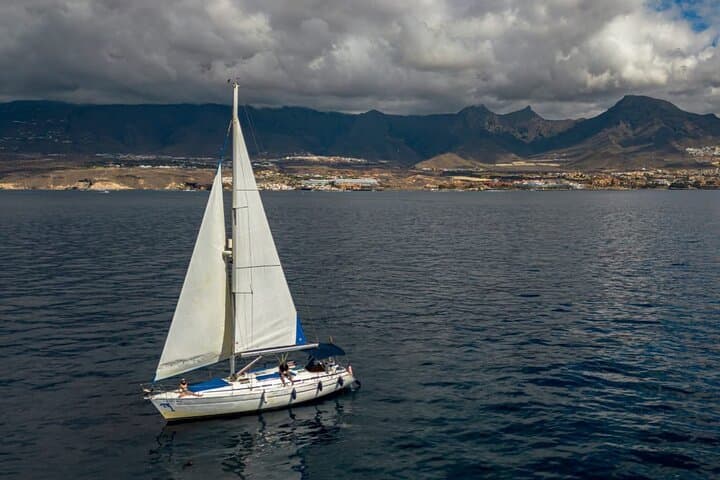 Private 3-Hour Sailing from Puerto Colón — Dolphin & Whale Watching in Tenerife photo 5