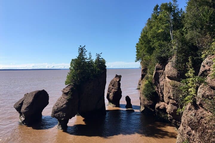 Hopewell Rocks & Fundy National Park Shore Excursion from Saint John photo 3