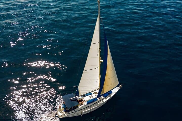 Private 3-Hour Sailing from Puerto Colón — Dolphin & Whale Watching in Tenerife photo 6