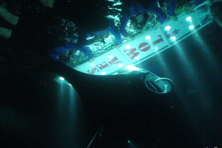 Experience the Thrill of Manta Ray Night Snorkeling off Kona Coast photo 2