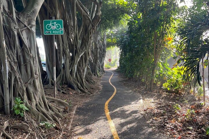 north-shore-guided-e-bike-tour-haleiwa-coastal-ride photo 5