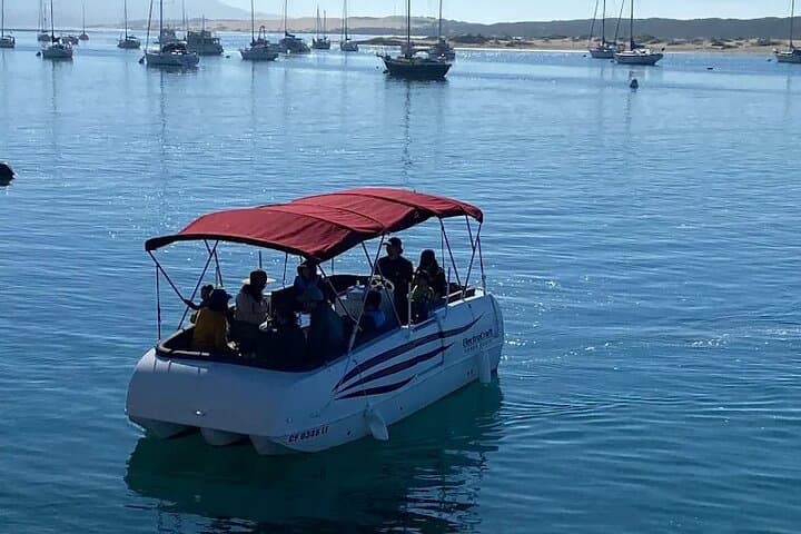Electric Pontoon Cruise in Morro Bay: 2-Hour Self-Drive Boat Rental photo 2