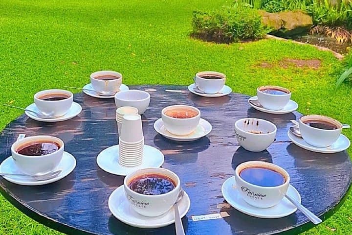 Fairview Estate Coffee Tour: Sustainable Coffee Tasting Near Nairobi photo 2