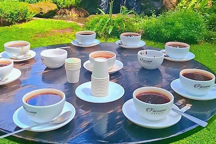 Fairview Estate Coffee Tour: Sustainable Coffee Tasting Near Nairobi photo 3