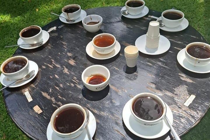 Fairview Estate Coffee Tour: Sustainable Coffee Tasting Near Nairobi photo 4