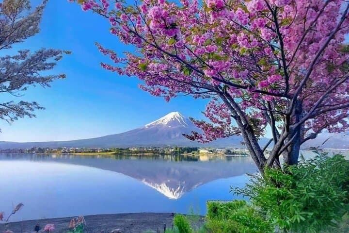 Mount Fuji & Hakone Customizable Day Tour with Private English-Speaking Driver
