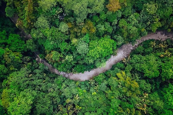 Ubud Adventure: Ayung River Rafting, Jungle Swing & ATV Combo photo 2