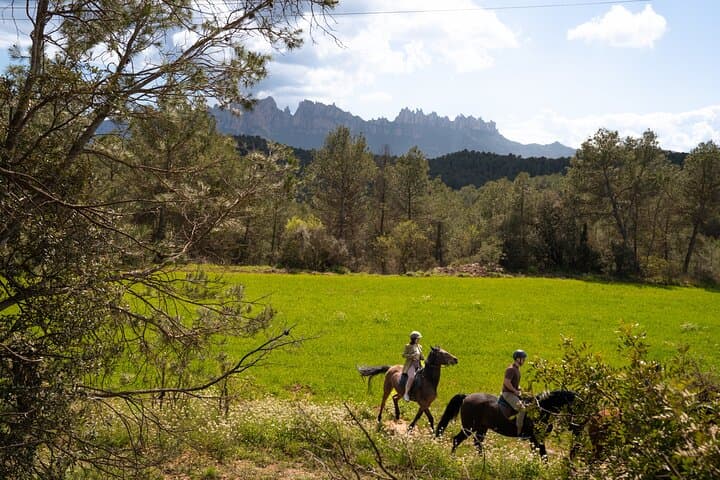 Montserrat Horseback Riding and Monastery Day Tour from Barcelona photo 5