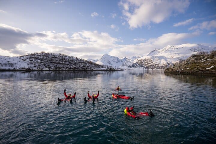 Float the Lyngen Fjords: Arctic Dry‑Suit Experience with Lunch from Tromsø photo 5