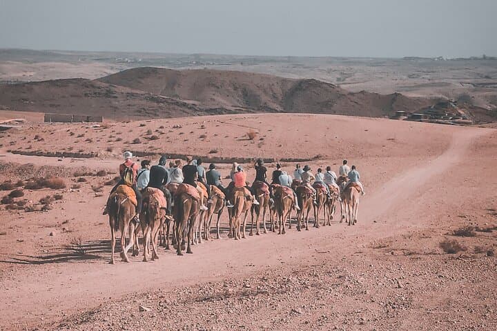 Agafay Desert Camel Ride & Traditional Dinner: Evening Experience from Marrakech photo 5