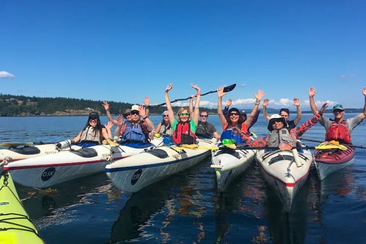 Kayak Griffin Bay: 3-Hour Guided Tour from Friday Harbor photo 6