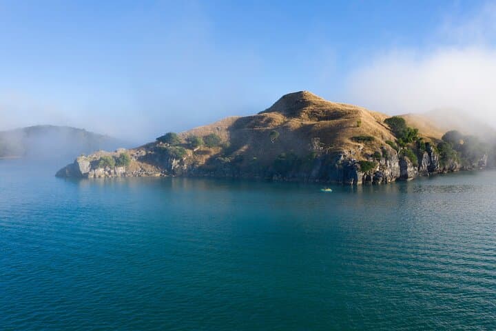 Raglan Scenic Nature Boat Cruise: 90-Min Harbour Tour & Wildlife Viewing photo 3