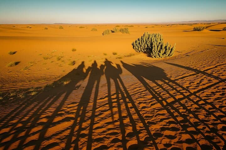 3-Day Sahara Private Tour from Marrakech to Merzouga (Erg Chebbi) photo 5