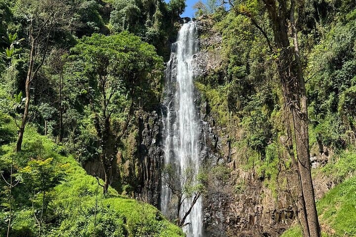 Materuni Falls and Chemka Springs: One-Day Waterfall Hike and Warm Springs from Arusha photo 2