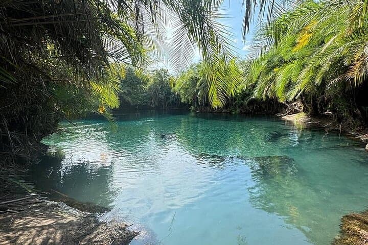 Materuni Falls and Chemka Springs: One-Day Waterfall Hike and Warm Springs from Arusha photo 5