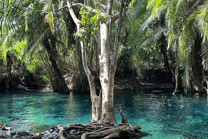Materuni Falls and Chemka Springs: One-Day Waterfall Hike and Warm Springs from Arusha photo 6