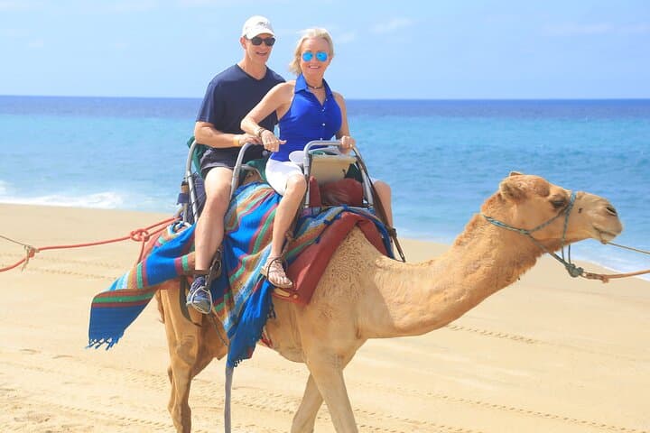 Beach UTV & Camel Ride Combo in Cabo — Dunes, Pacific Beaches & Tequila Tasting photo 6