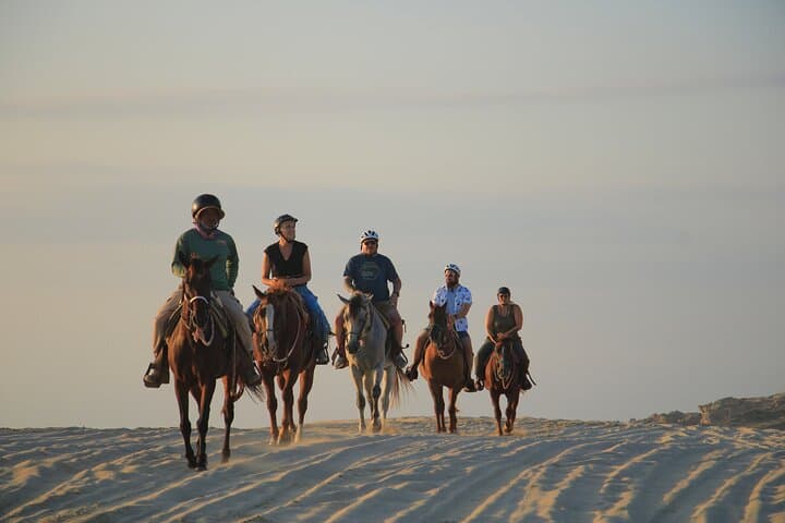 Cabo Beach ATV & Horseback Combo: Dunes, Pacific Views and Tequila Tasting photo 3