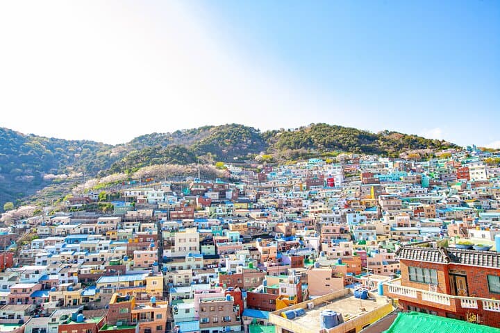 Busan Customized Private Tour — Haedong Yonggungsa, Haeundae, Gamcheon & Coastal Highlights photo 2