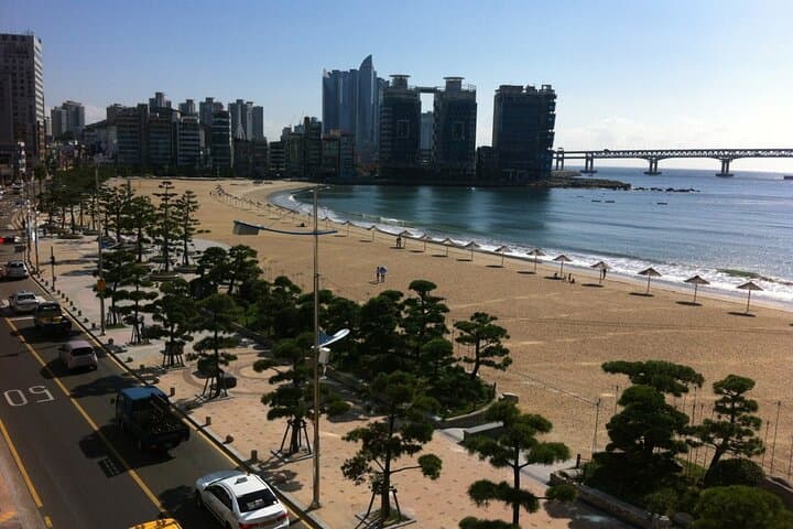 Busan Customized Private Tour — Haedong Yonggungsa, Haeundae, Gamcheon & Coastal Highlights photo 4