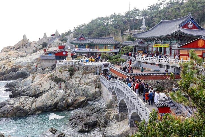 Busan Customized Private Tour — Haedong Yonggungsa, Haeundae, Gamcheon & Coastal Highlights photo 5