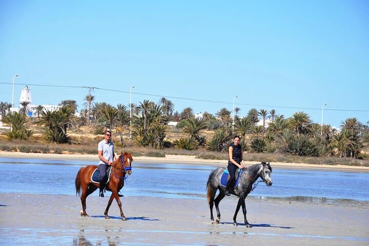 Sunrise Horseback Ride on Marsa Alam Beaches and Desert — 3-Hour Adventure photo 3