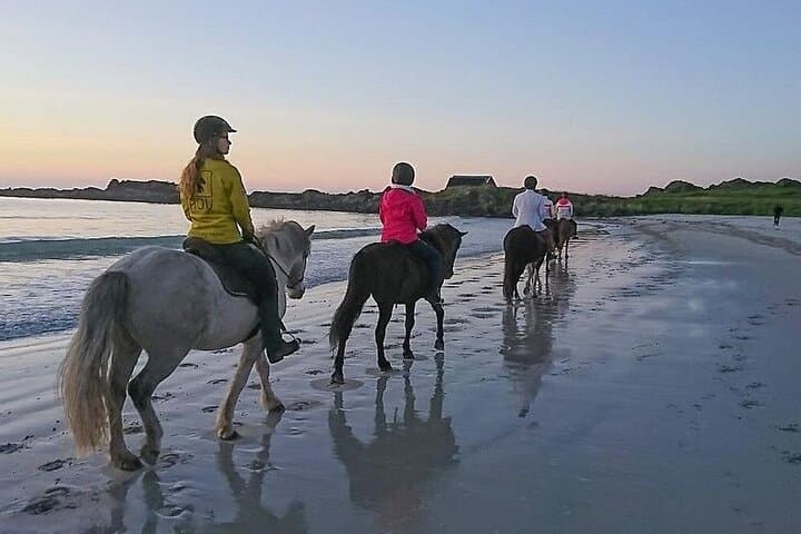 Sunrise Horseback Ride on Marsa Alam Beaches and Desert — 3-Hour Adventure photo 6