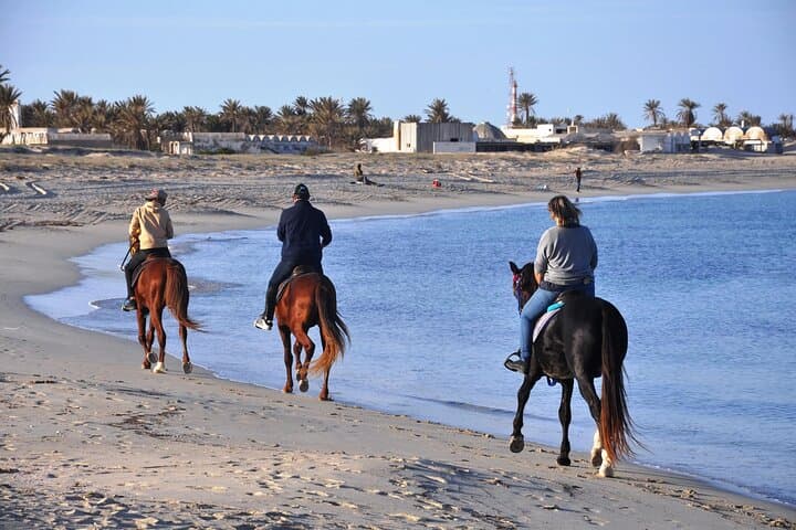 Sunrise Horseback Ride on Marsa Alam Beaches and Desert — 3-Hour Adventure photo 4