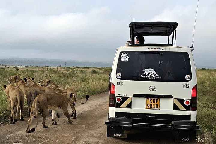 Experience Nairobi National Park and Elephant Orphanage: A Private Wildlife Safari Near Nairobi photo 2