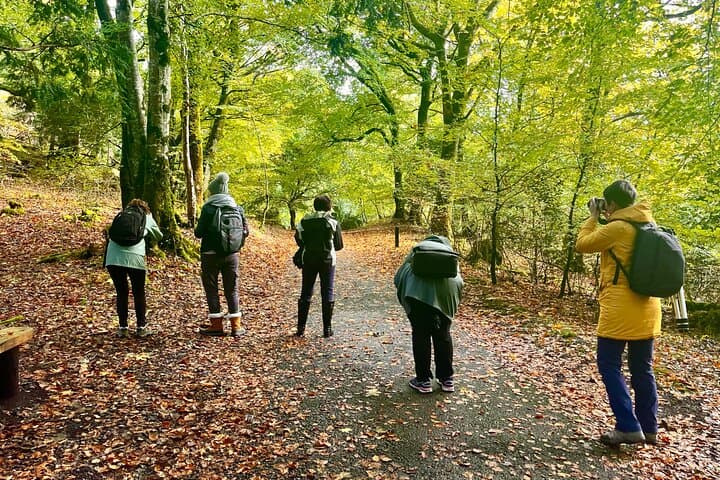 Private Half-Day Photography Tour — Killarney National Park, Co. Kerry photo 3