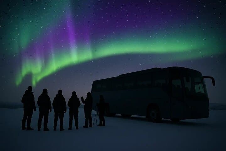 Northern Lights Hunt from Alta Cruise Harbor — Aurora Chase & Science Briefing
