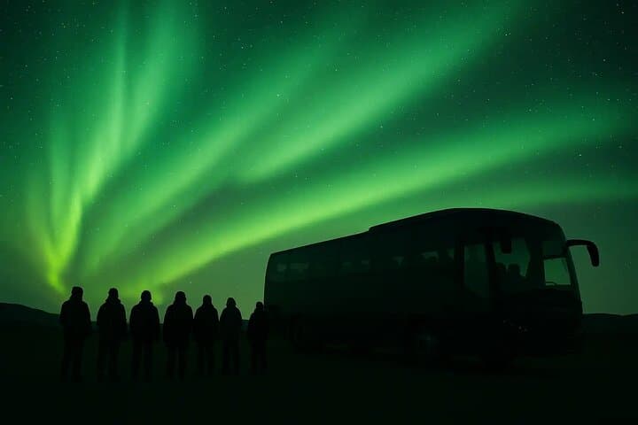 Northern Lights Hunt from Alta Cruise Harbor — Aurora Chase & Science Briefing photo 3