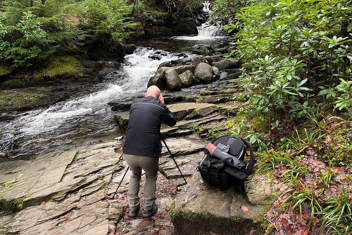 Private Half-Day Photography Tour — Killarney National Park, Co. Kerry photo 5