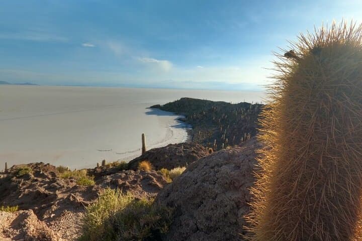 4-Day Private Uyuni Salt Flats Tour from San Pedro de Atacama photo 3