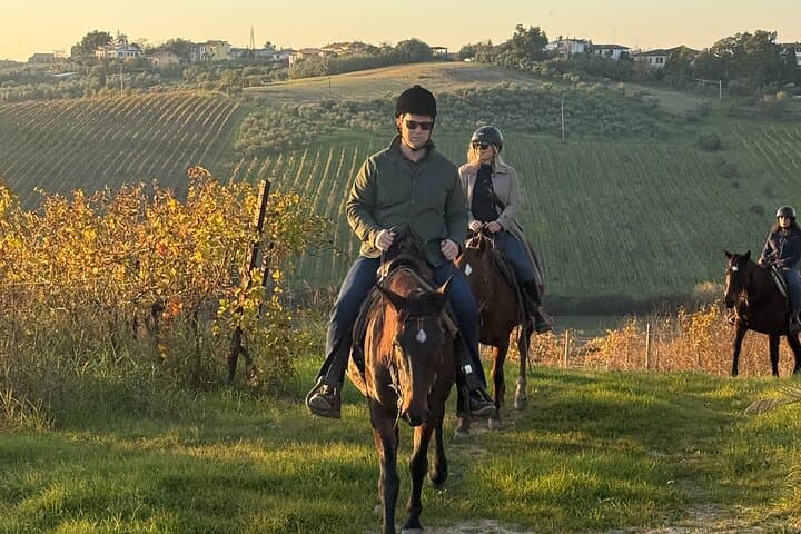 Horseback Riding in Tuscany: Vineyards, Olive Groves & Leonardo’s Countryside photo 4