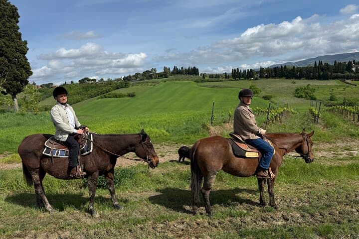 Horseback Riding in Tuscany: Vineyards, Olive Groves & Leonardo’s Countryside photo 3