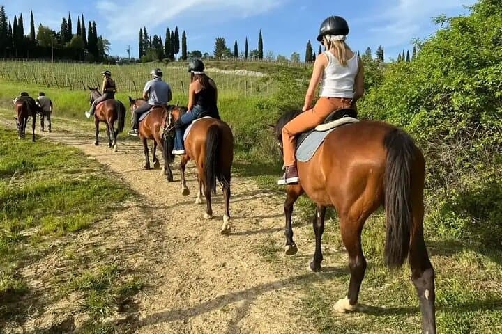 Side Horse Riding Safari: Beach & Forest Horseback Tours in Side, Turkey