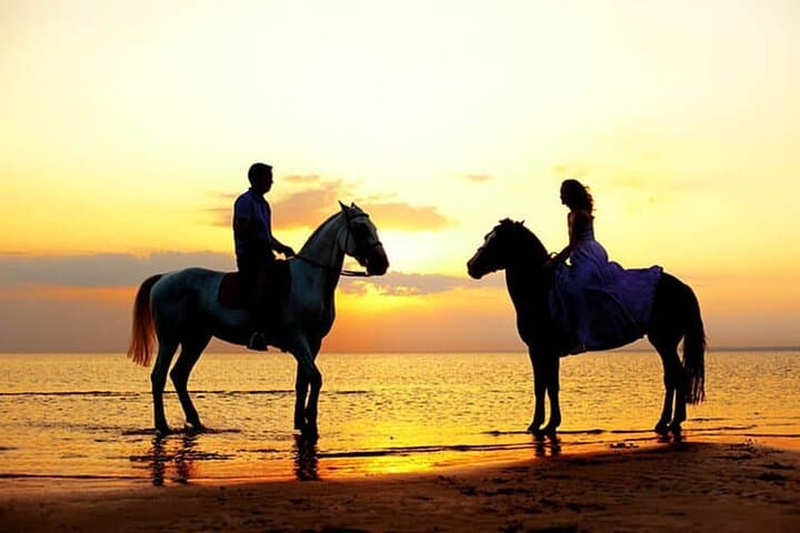 Side Horse Riding Safari: Beach & Forest Horseback Tours in Side, Turkey photo 4