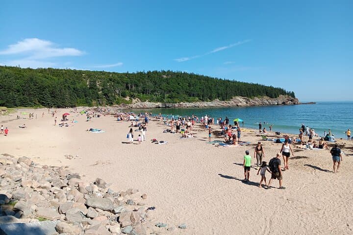 Acadia Cadillac Loop: Woody's 3-Hour Private Driving Tour from Bar Harbor photo 4