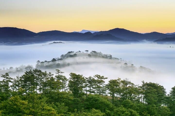 Full-Day Canyoning in Da Lat: Abseil Waterfalls, Cliff Jumps & Tyrolean Traverse