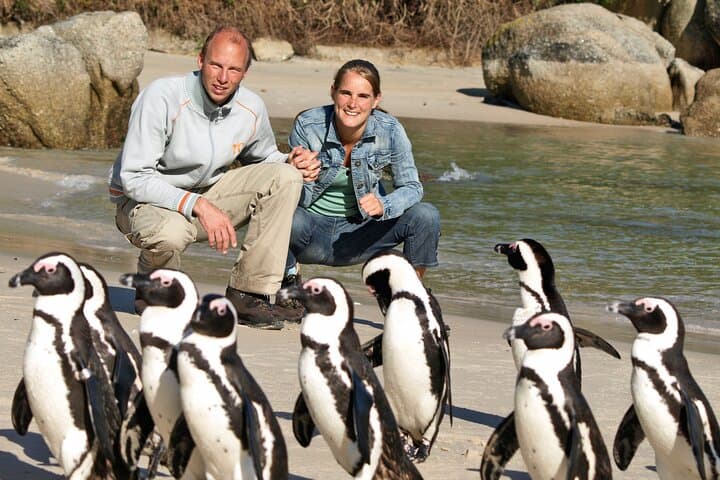 Table Mountain, Cape Point & African Penguins: Full-Day Cape Town Tour (All Fees Included) photo 5